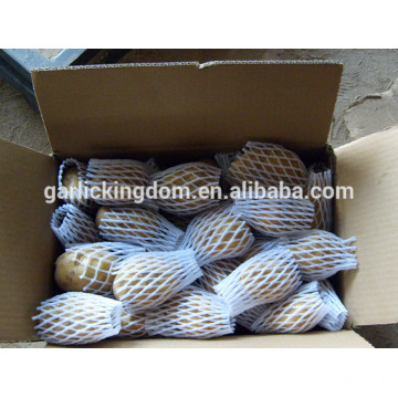 fresh potato for sale/fresh high quality potato hot sale (75-100gram)(100-150gram)(150-250gram up)